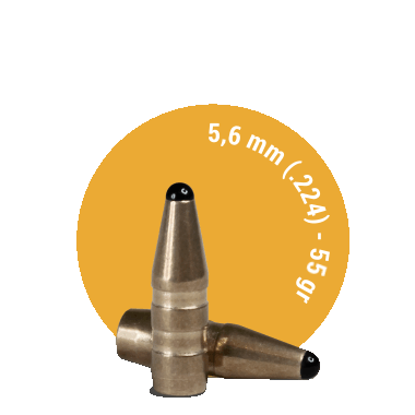 Fox Classic Hunter Bullets .22/.224 50 Stk.