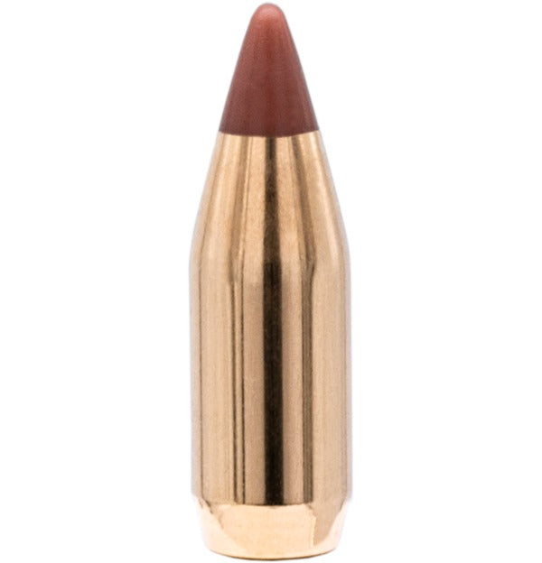 Hornady NTX .17/.172 100 Stk.